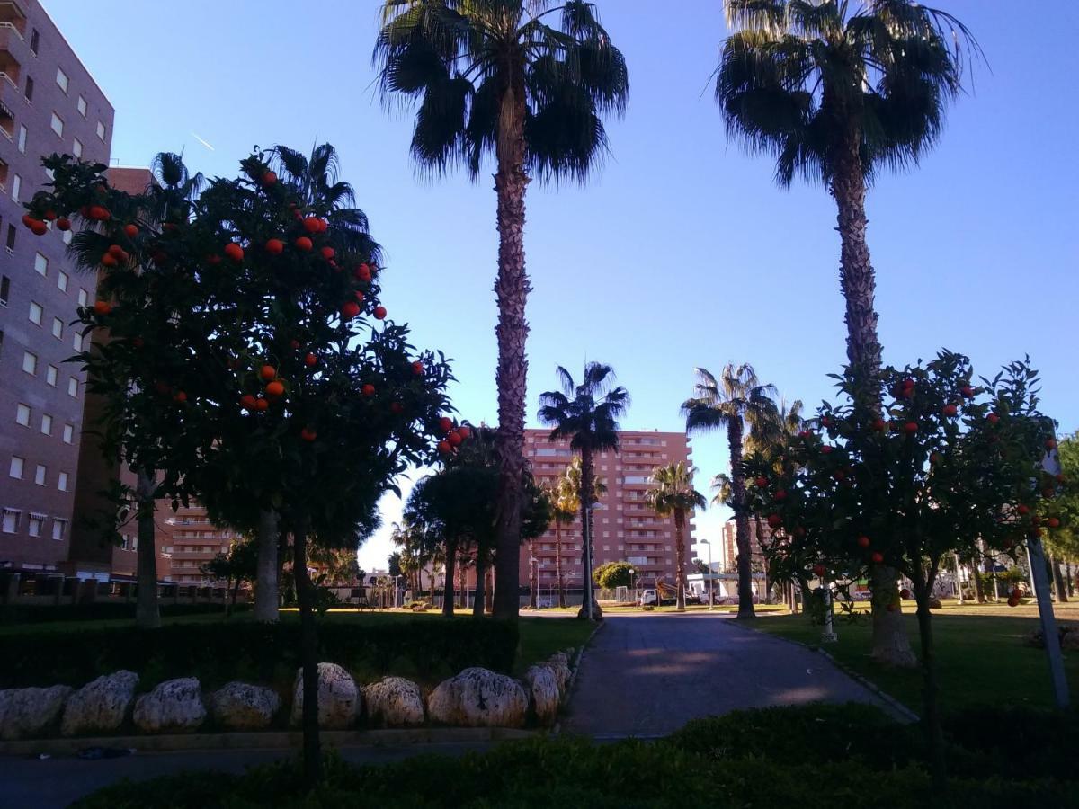 Apartamento Acapulco II, 1a LINEA, Playa Amplaries Oropesa del Mar Exterior foto